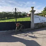 Quinta Ze Do Coval
